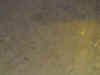 Sfondo PC - wall.JPG (72395 byte)